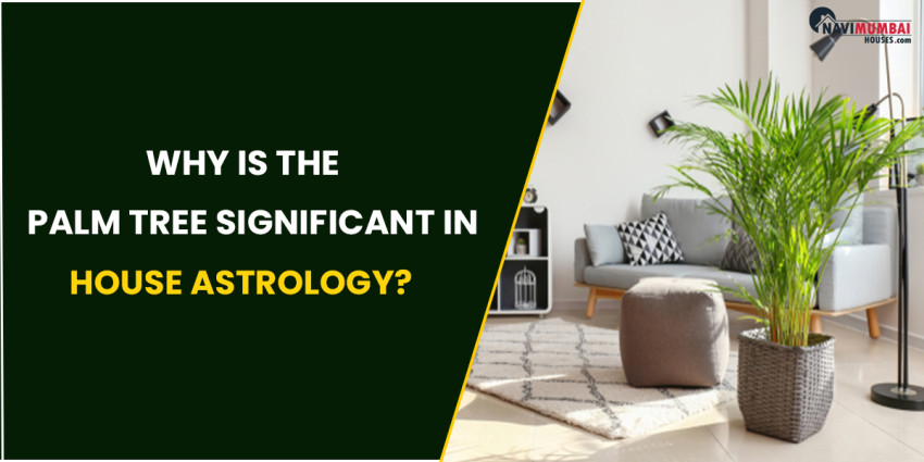 Why Is The Palm Tree Significant In House Astrology?