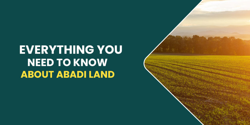 Everything You Need to Know About Abadi Land