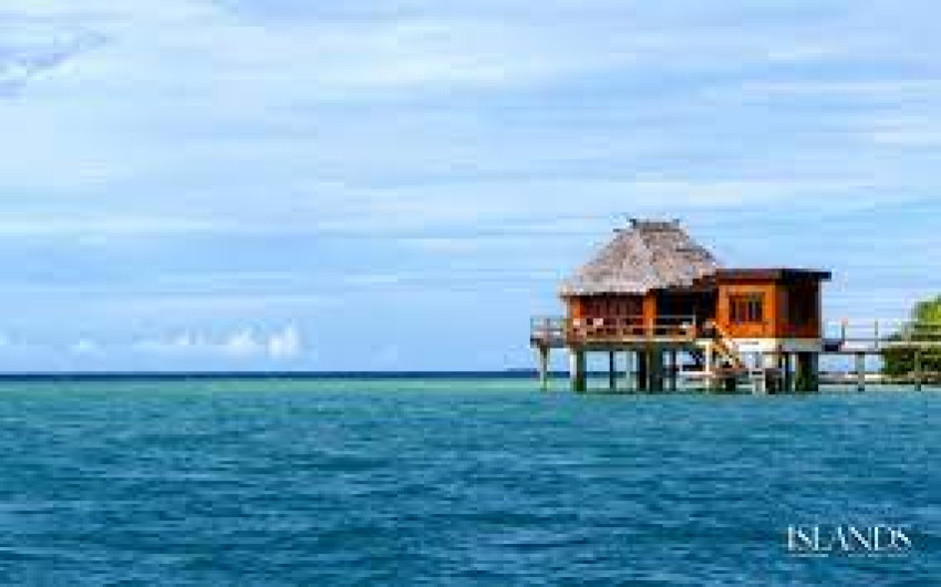 Online Same Day Loans: A Simple Method to Help You Obtain Cash