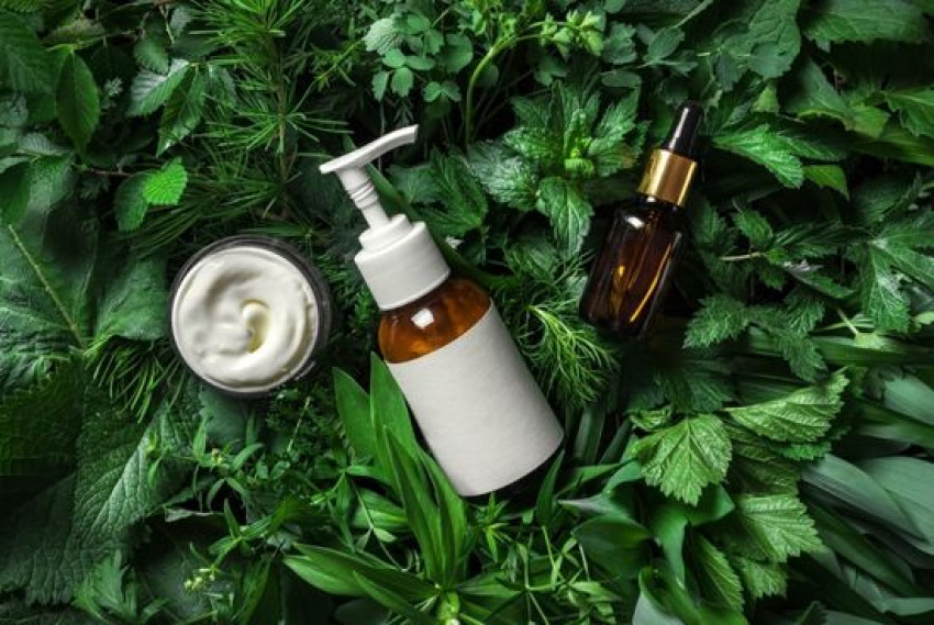 Get the Expert Opinion on Beauty with Beautywelt