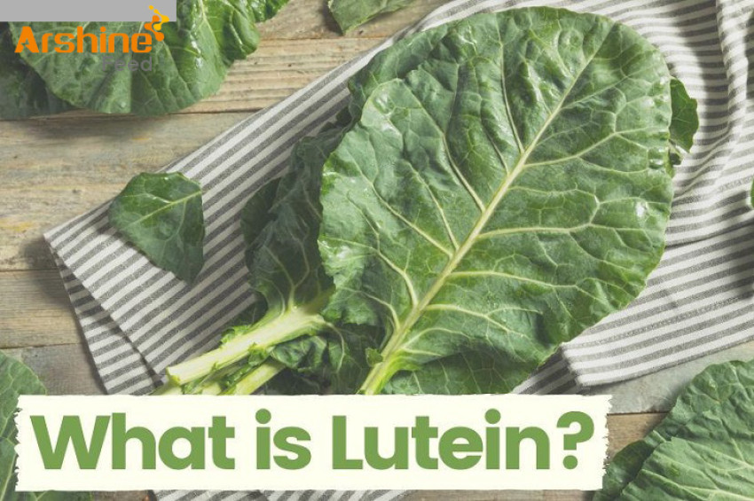 Specific application of lutein in laying hens and aquaculture