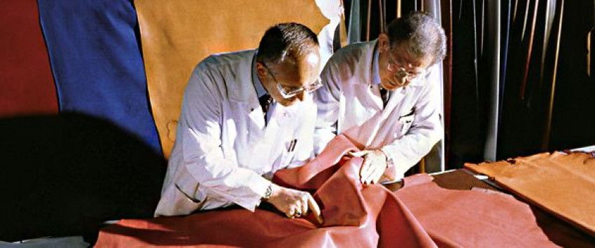 Leather technology course is one of the course that upgrade your knowledge!