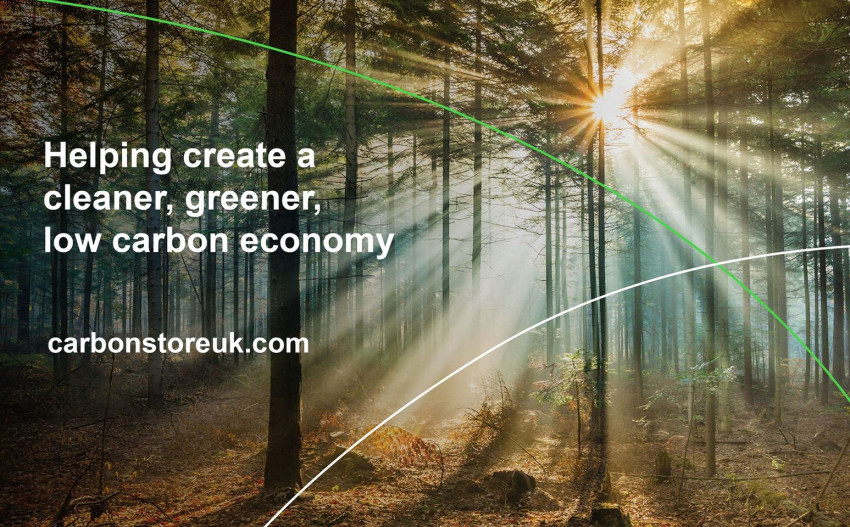 Carbon Sequestration: A Crucial Refine for Minimizing Climate Change