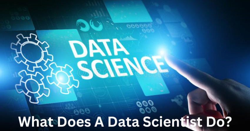 What Does A Data Scientist Do?