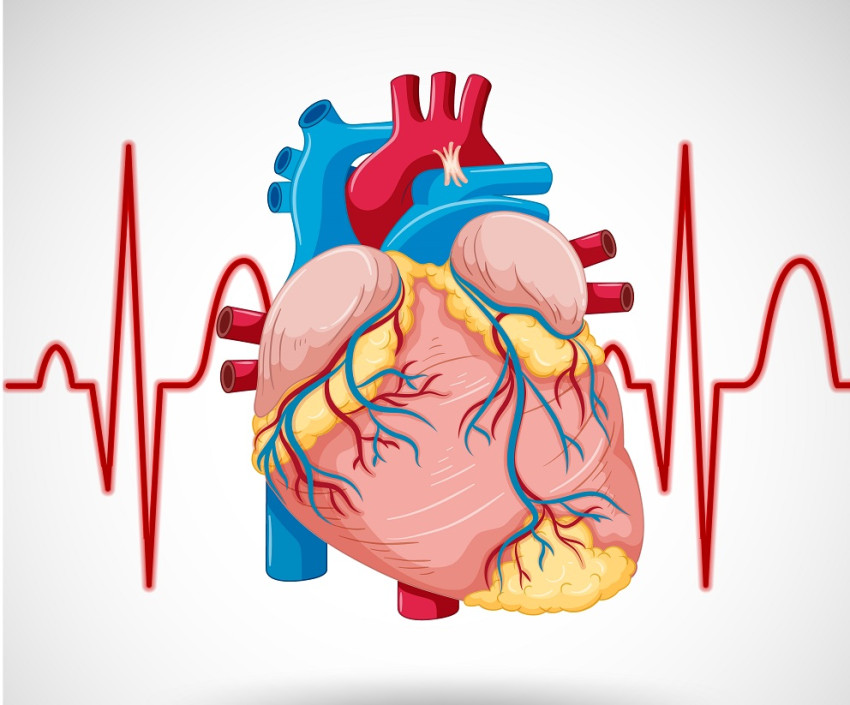 Expert Angioplasty Procedures by Top Cardiologist in Hyderabad-how it is conducted