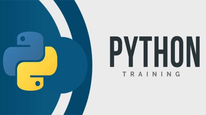 Mastering Python: A Comprehensive Guide to Training and Advancing Your Skills