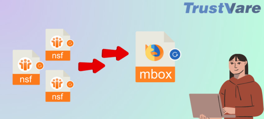 Best Solution to convert NSF files to MBOX file Format