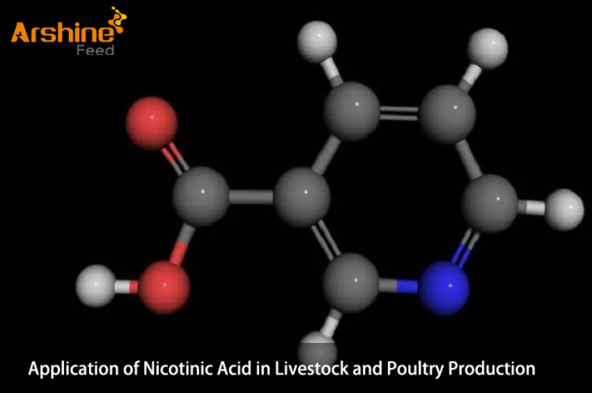 Application of Nicotinic Acid in Livestock and Poultry Production