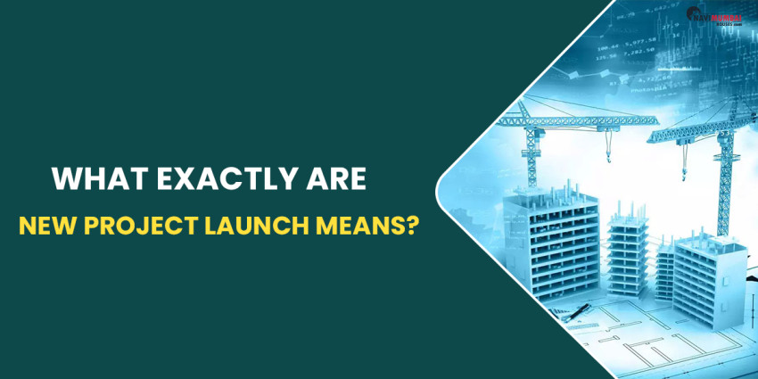 What Exactly Are New Project Launch Means?