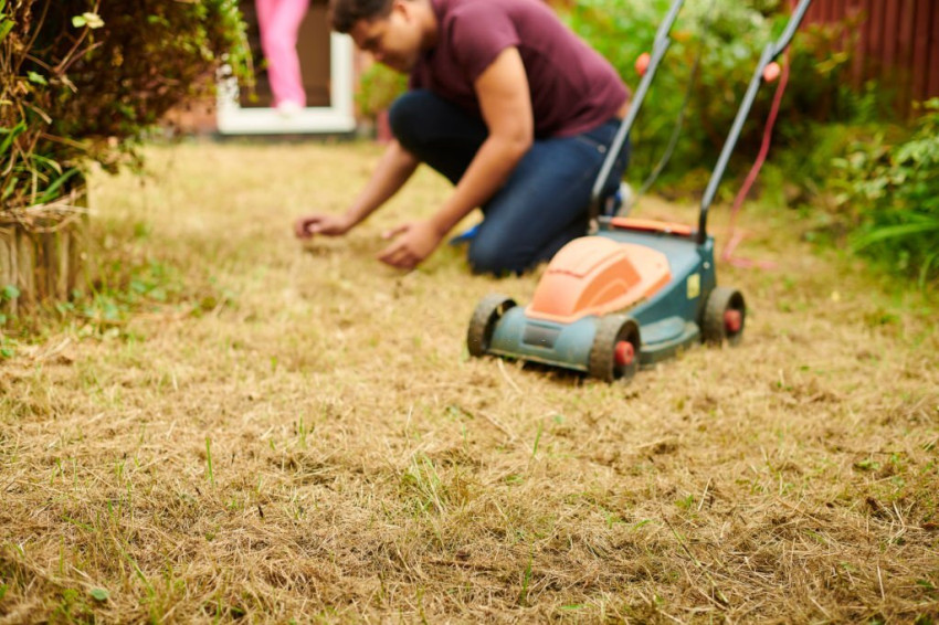 Tips for managing your lawn during a drought