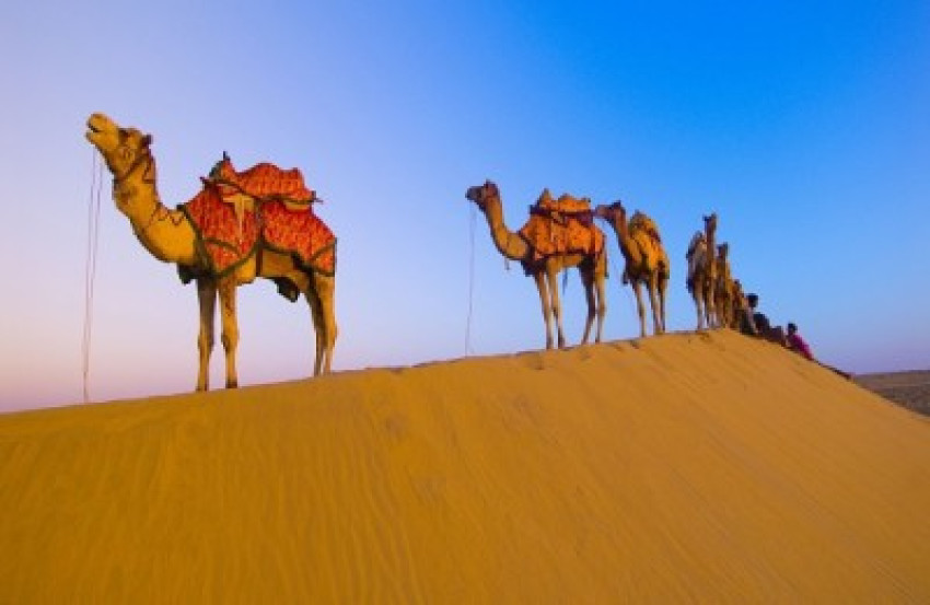Best places to visit in Rajasthan India