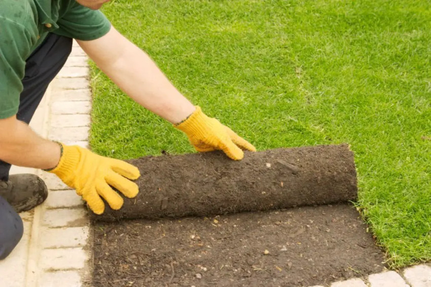 What are the common mistakes to avoid during sod installation?