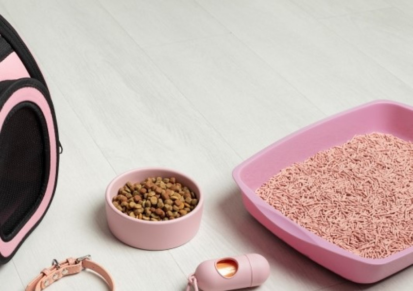 How to Make an Educated Decision when Shopping for a Kitty Litter?