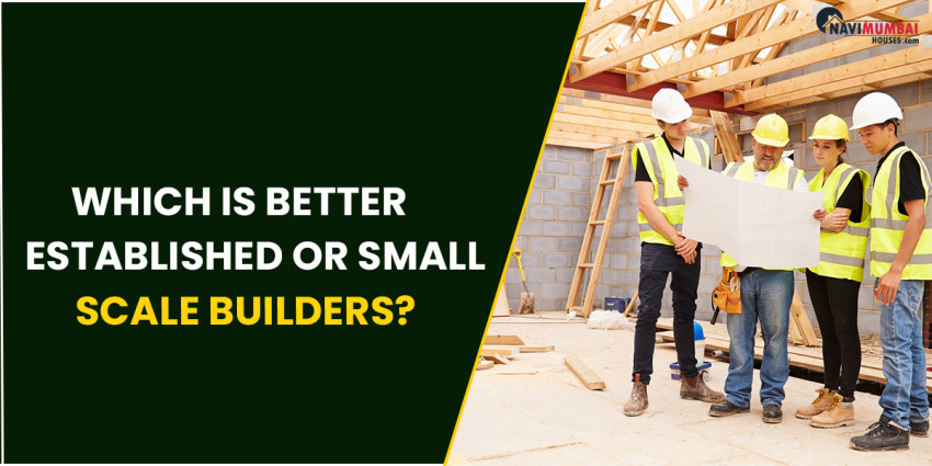 Which is better: Established or Small-Scale Builders?