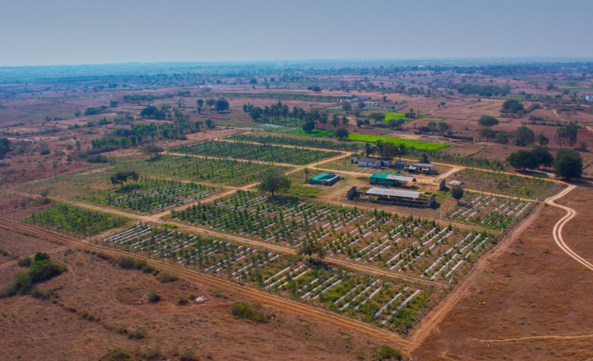 MANAGED FARMLANDS: A ROBUST OPTION FOR PASSIVE INCOME