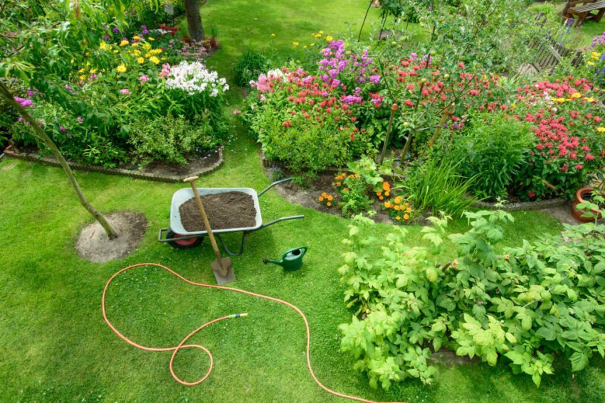 How to improve soil quality to prevent common lawn problems In Rancho Cucamonga
