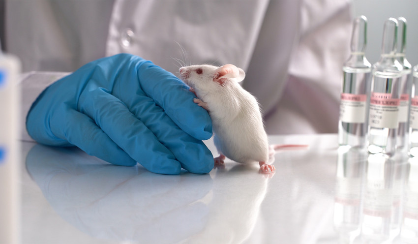 How can PDX models be used to study rare and understudied cancers?