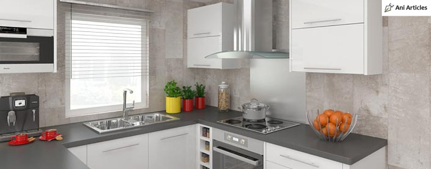 Features of cladding kitchens and their forms - browse now