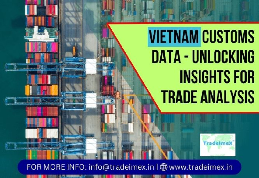 VIETNAM CUSTOMS DATA - UNLOCKING INSIGHTS FOR TRADE ANALYSIS