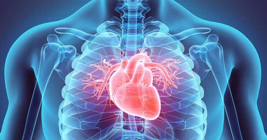 What is the basic importance of going for cardiac tests?