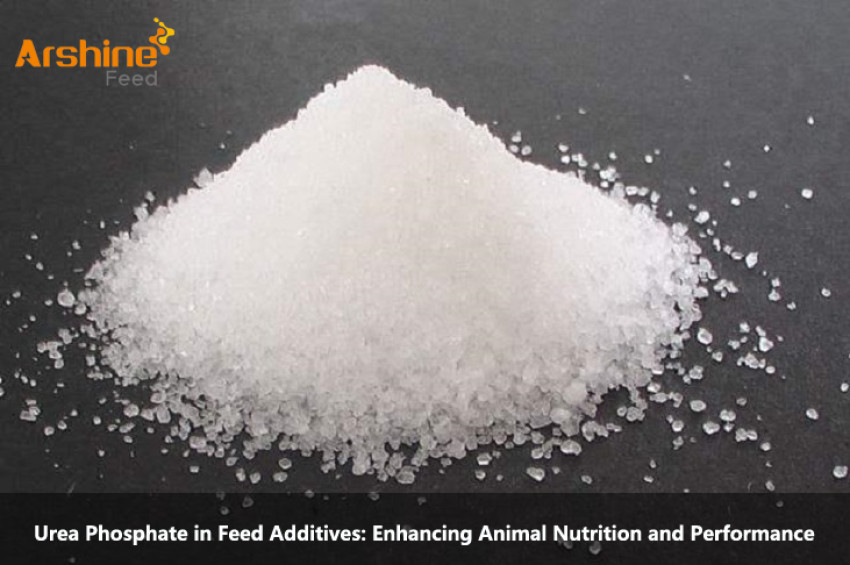 Urea Phosphate in Feed Additives: Enhancing Animal Nutrition and Performance