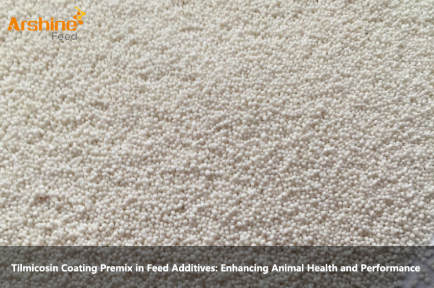 Tilmicosin Coating Premix in Feed Additives: Enhancing Animal Health and Performance