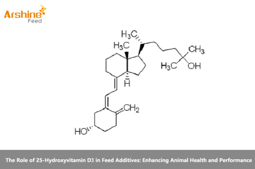 The Role of 25-Hydroxyvitamin D₃ in Feed Additives: Enhancing Animal Health and Performance