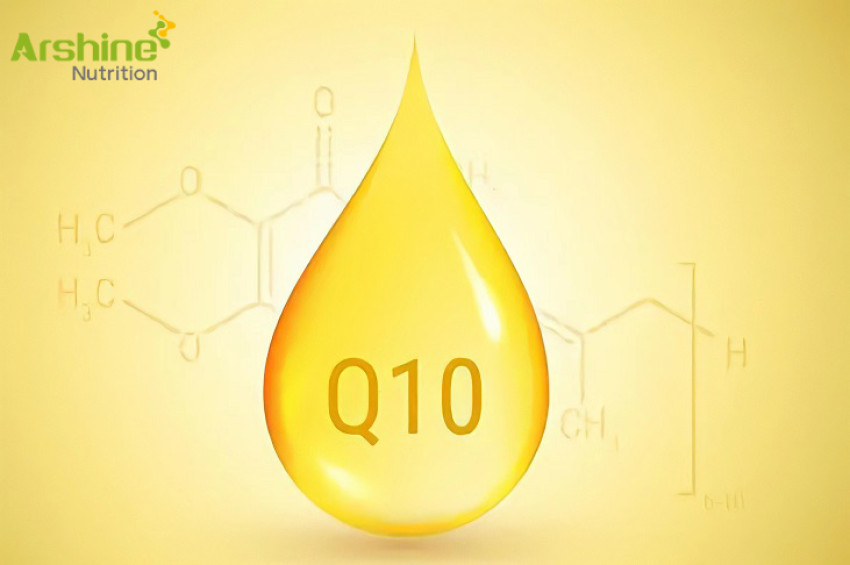 The nutritional value of coenzyme Q10