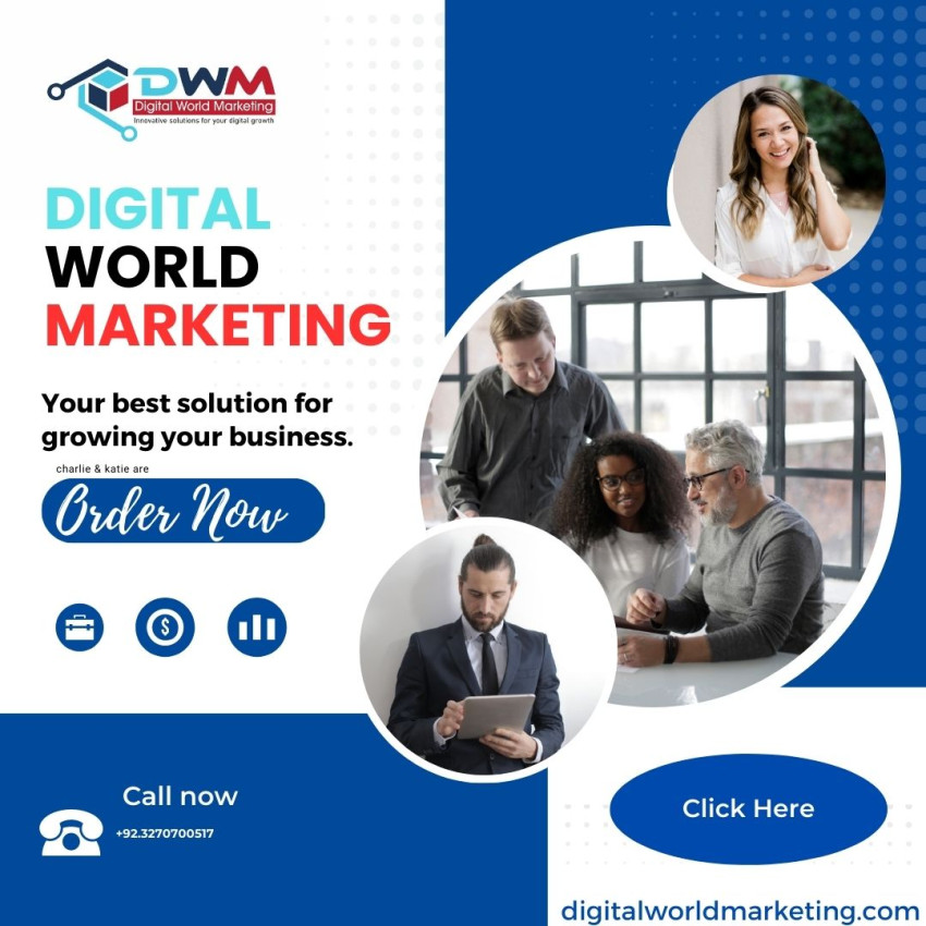 Digital World Marketing Software House