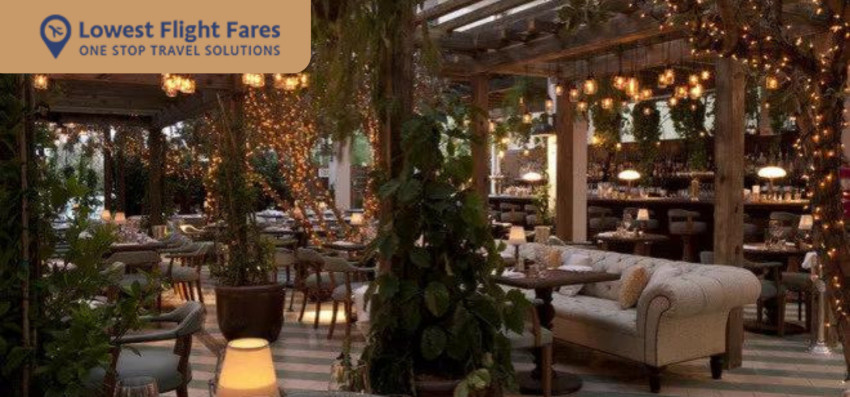 Best Restaurants in Miami where you can get many delicious foods.