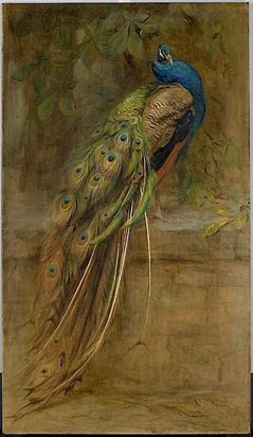 From Palette to Plumage: The Artistry of Peacock Paintings