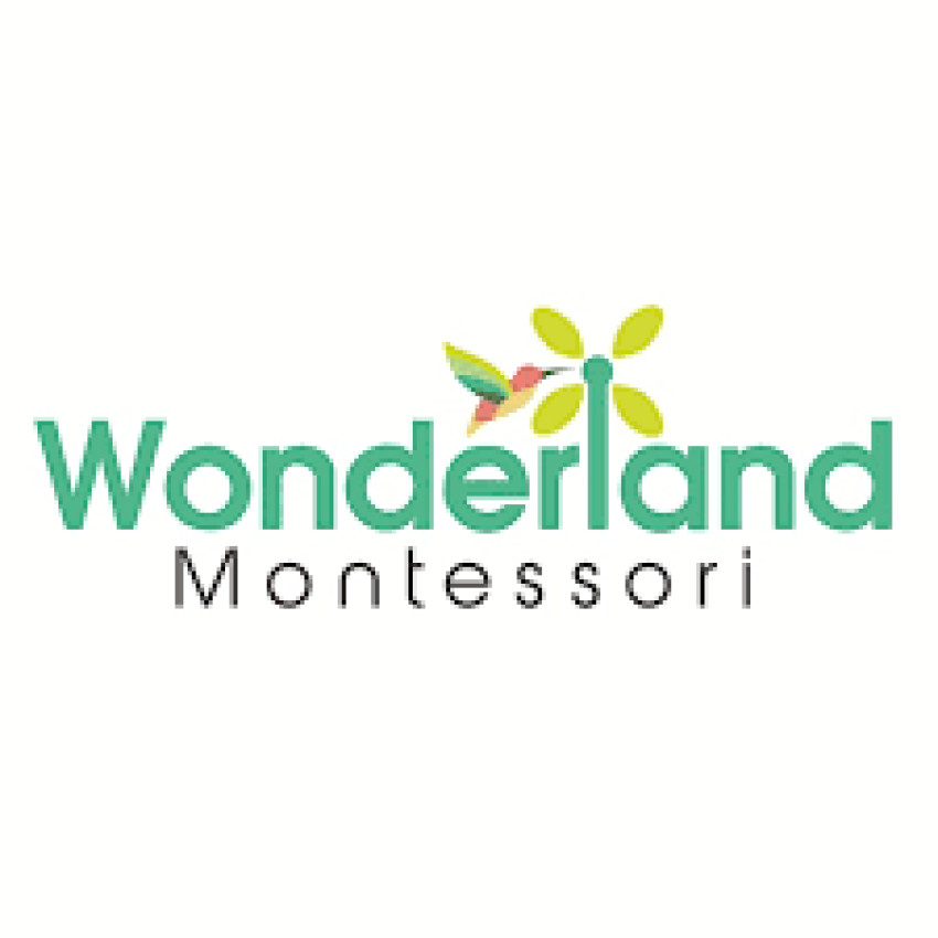 Unveiling Wonderland Montessori School - The Best Montessori School in Flower Mound, Texas