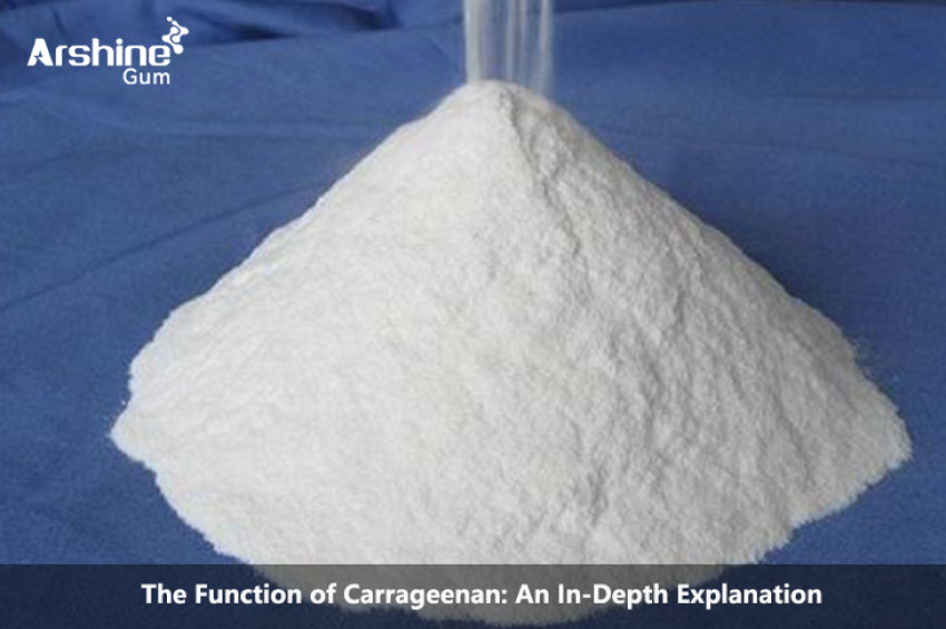 The Function of Carrageenan: An In-Depth Explanation