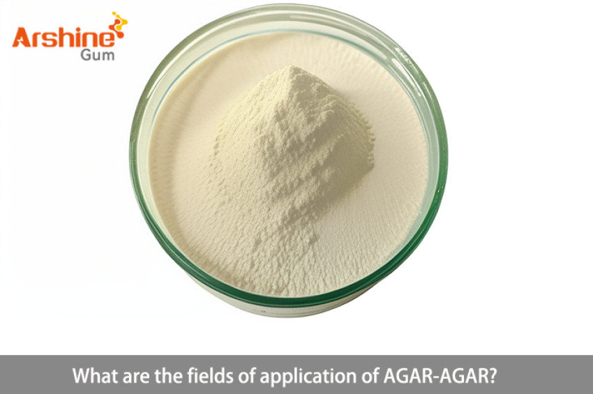 What are the fields of application of AGAR-AGAR?