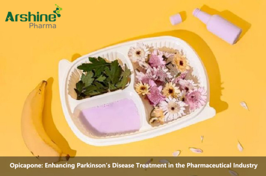 Opicapone: Enhancing Parkinson's Disease Treatment in the Pharmaceutical Industry