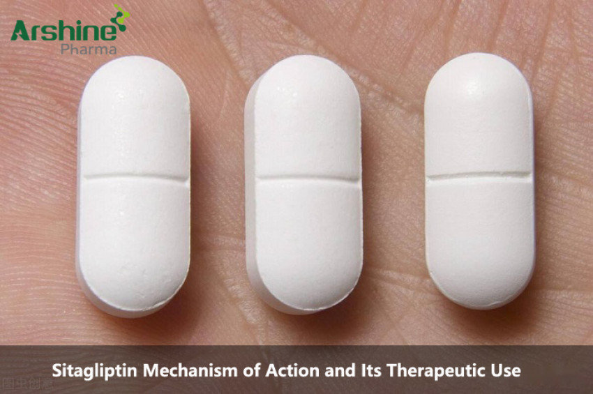 Sitagliptin Mechanism of Action and Its Therapeutic Use