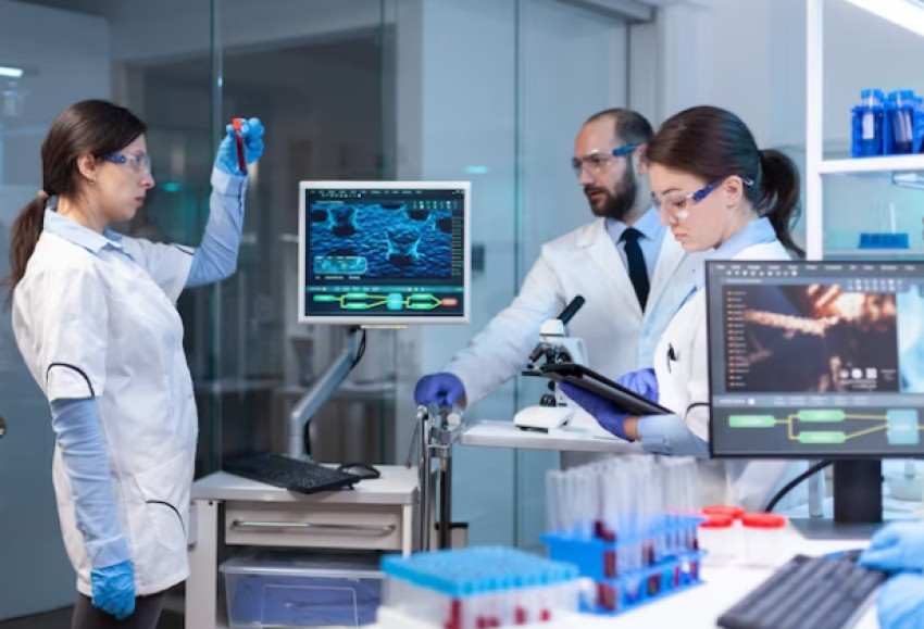 What Role Do Drug Discovery Services Play in Advancing Healthcare?