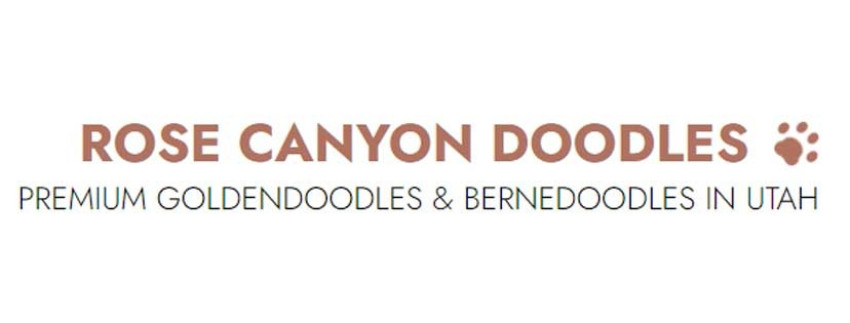 Cuddly Companions Await: Mini Bernedoodle Puppies for Sale at Rose Canyon Doodles