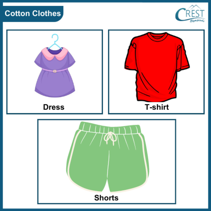 Clothes - Class 2 Notes & Olympiad Questions