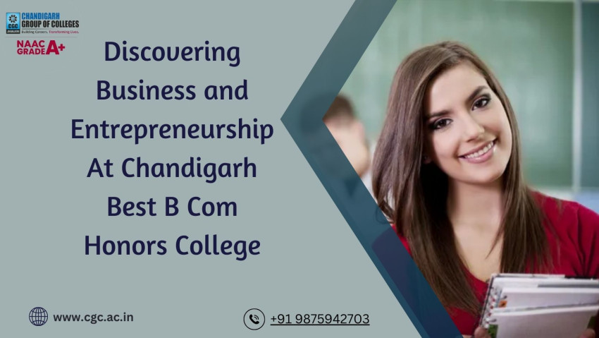 Discovering Business and Entrepreneurship At Chandigarh Best B Com Honors College