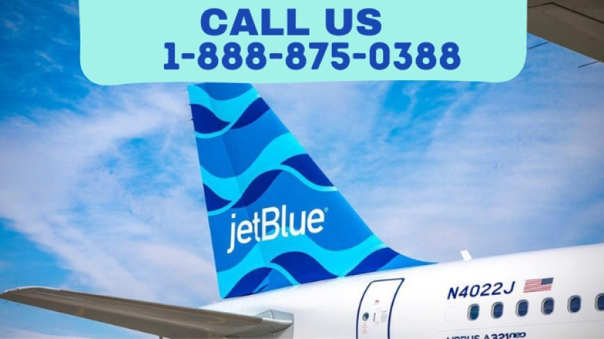 JetBlue baggage policy Guidance