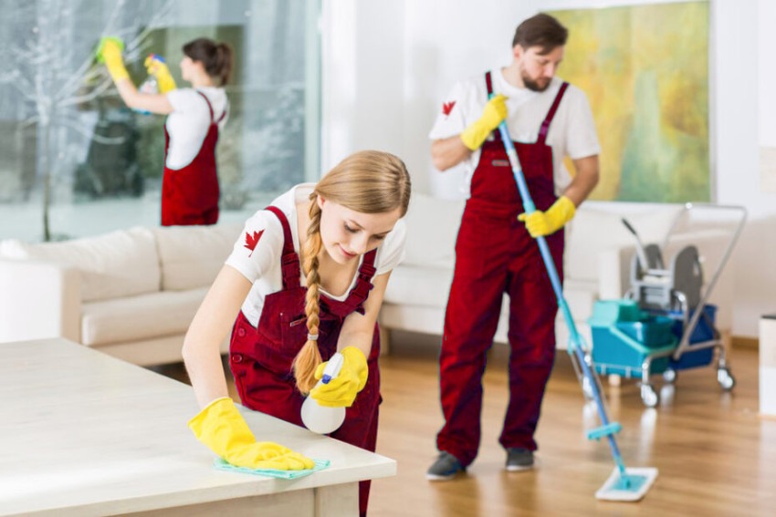 The Top Benefits of Hiring Professional Carpet Cleaning Services