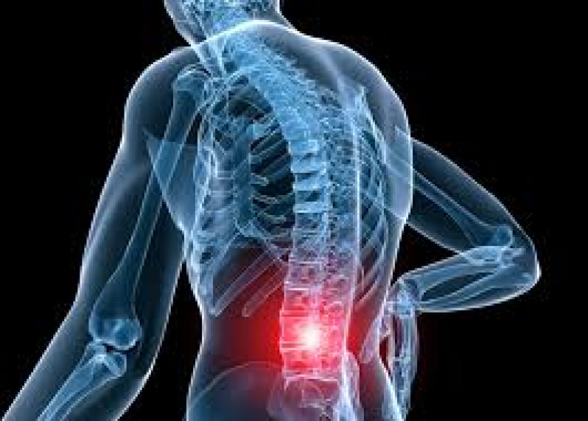 Which drugs efficiently relieve back pain?