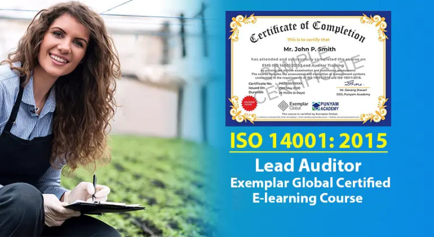 Mastering Environmental Compliance: A Guide to EMS ISO 14001 Lead Auditor Training