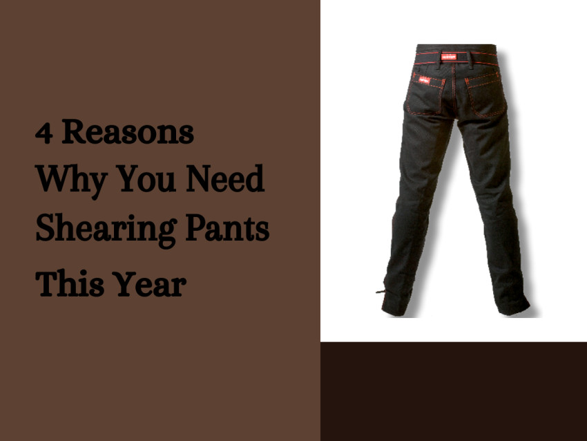 4 Reasons Why You Need Shearing Pants This Year