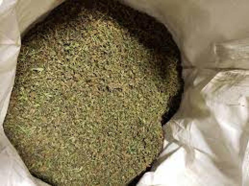 Hemp Biomass: 100,000-125,000 Pounds With ~10% CBD Available!