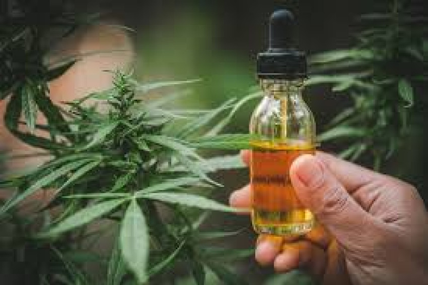 Understanding CBD Night Tincture Manufacturing