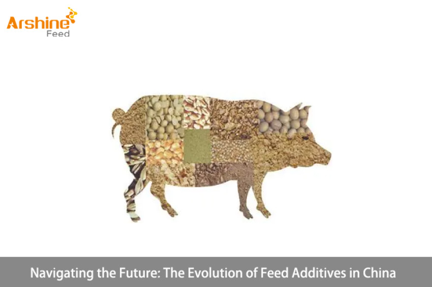 Navigating the Future: The Evolution of Feed Additives in China