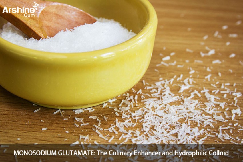 MONOSODIUM GLUTAMATE: The Culinary Enhancer and Hydrophilic Colloid