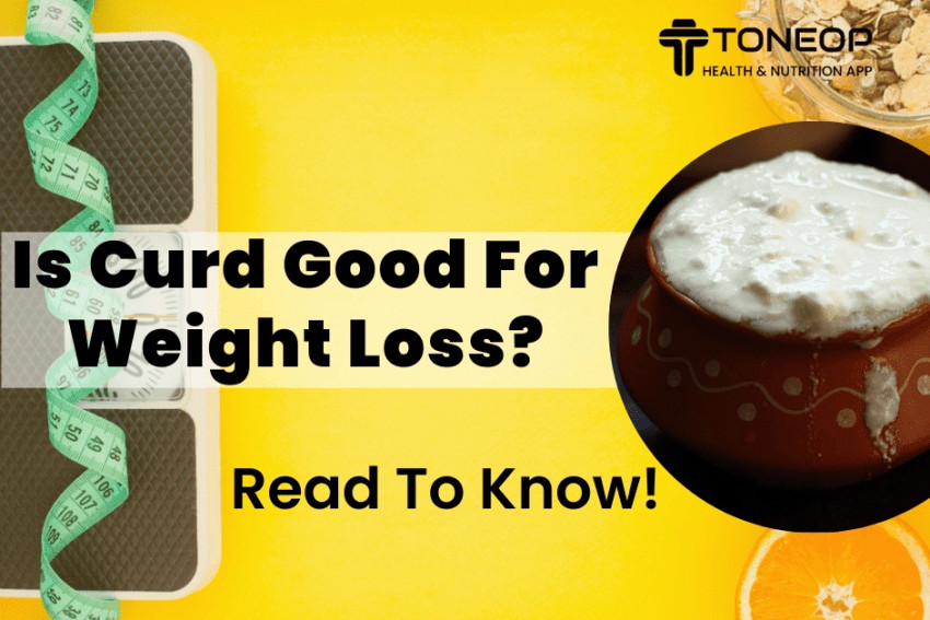 Does Curd Help People Lose Weight? Read To Know More!